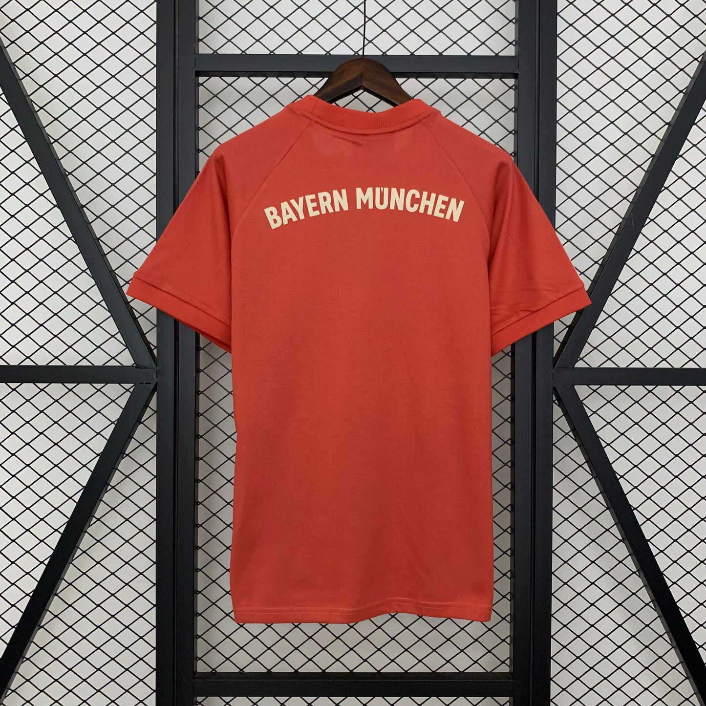Camiseta Bayern Munich Edición Especial 2024/25 Versión Fan