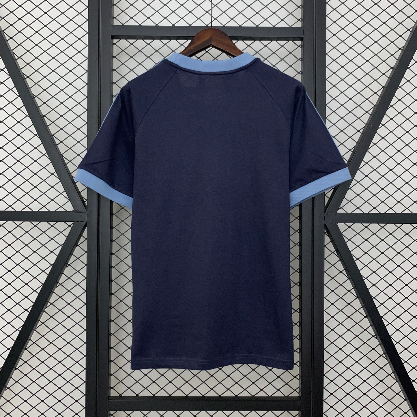 Camiseta Argentina Edición Especial 2024/25 Versión Fan