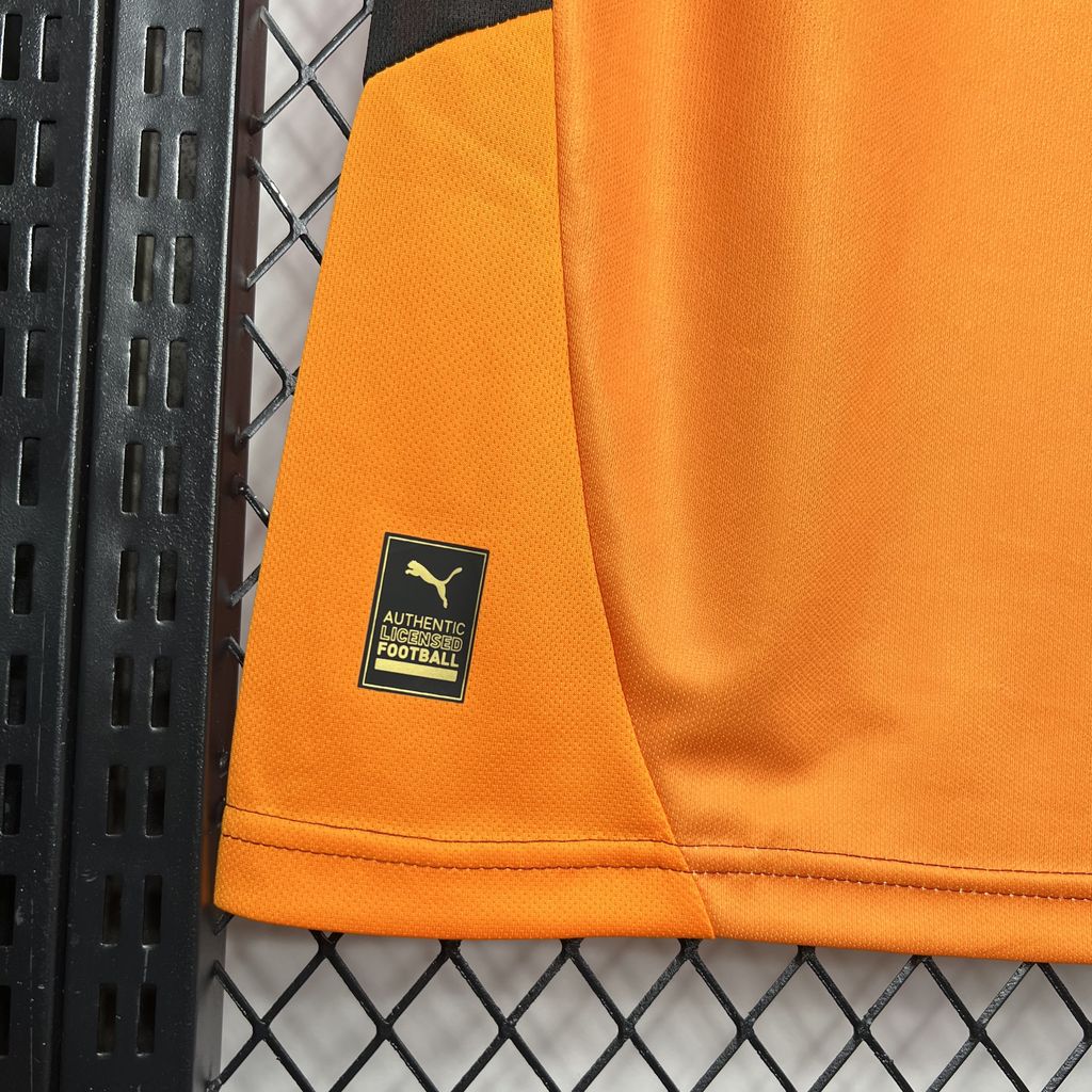 Camiseta Galatasaray Local 2024/25 Versión Fan