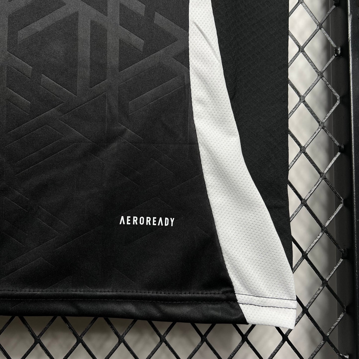 Camiseta Alemania Entrenamiento 2024 Versión Fan