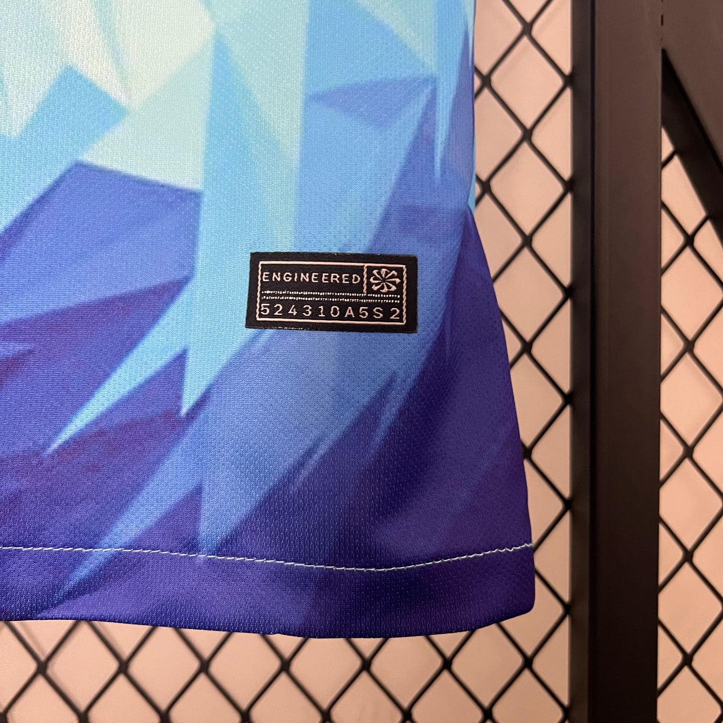 Camiseta Países Bajos Edición Especial León 2024 Versión Fan