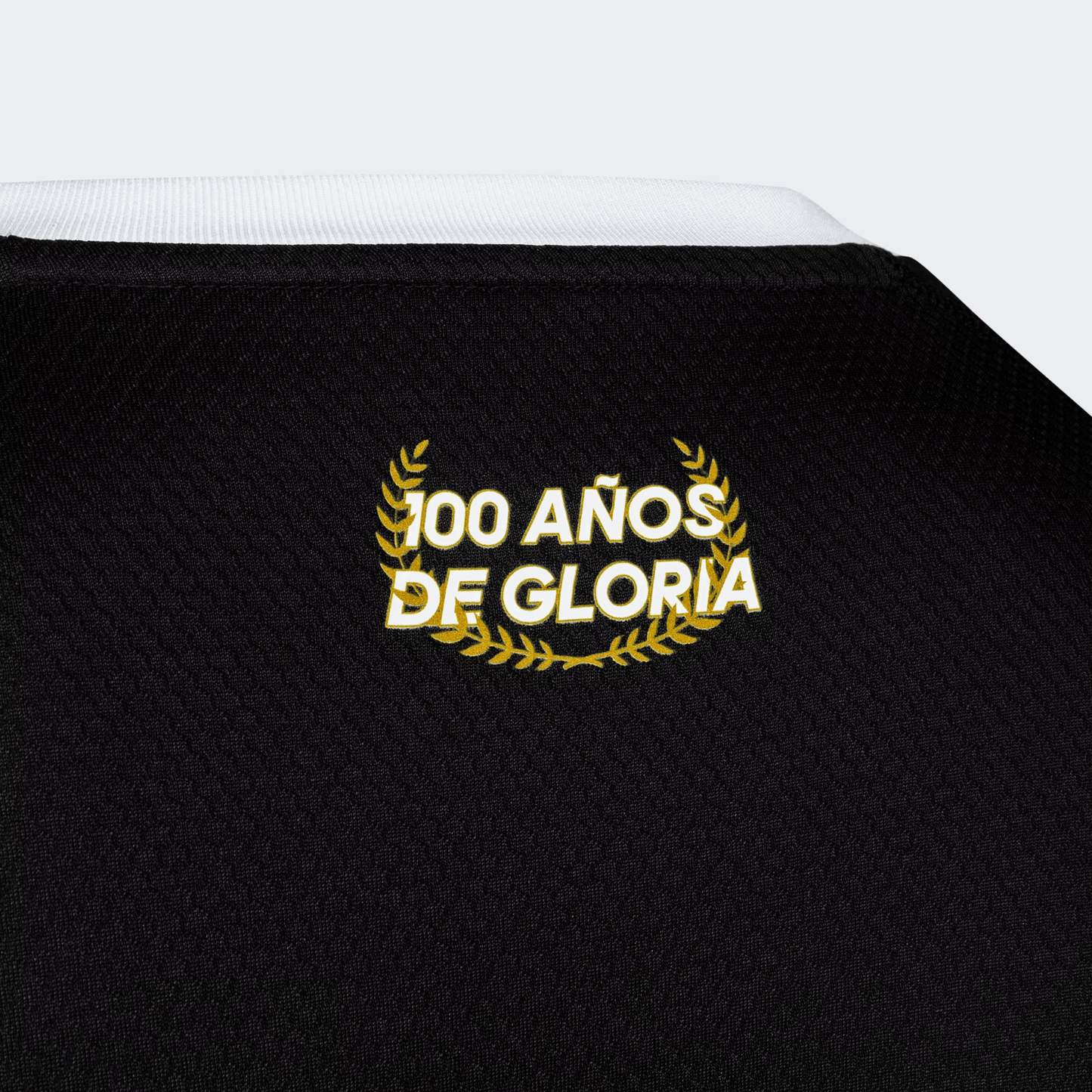 Camiseta Colo Colo Centenario Portero 2025 Versión Fan