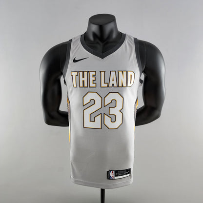 Camiseta Cleveland Cavaliers "The Land" Gris