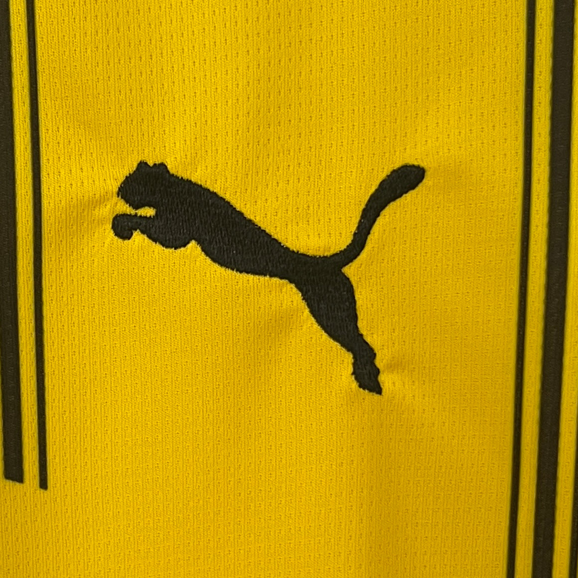 Camiseta Borussia Dortmund Local 2024/25 Versión Fan
