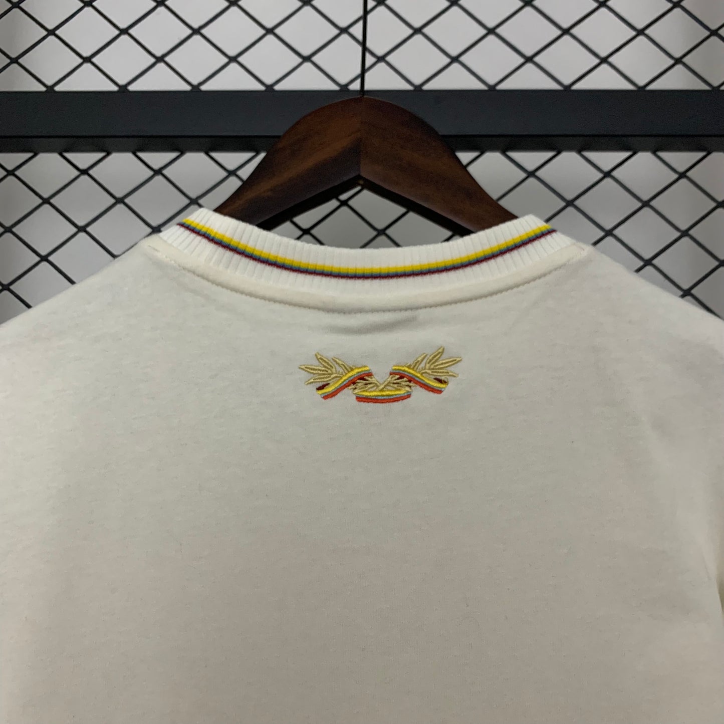 Camiseta Colombia Edición Especial 100 Aniversario 2024/25 Versión Fan