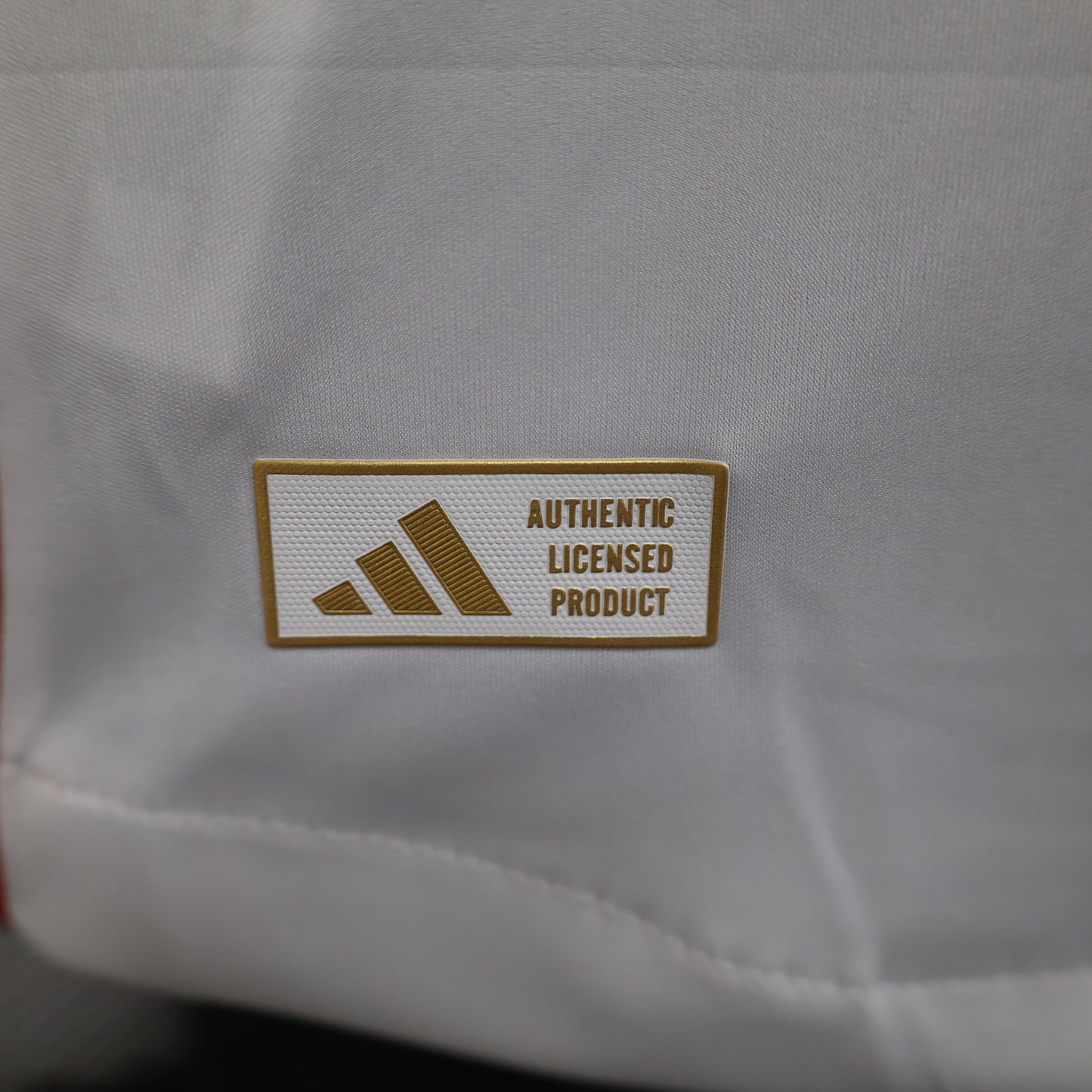 Camiseta Olympique De Lyon Local 2024/25 Versión Jugador