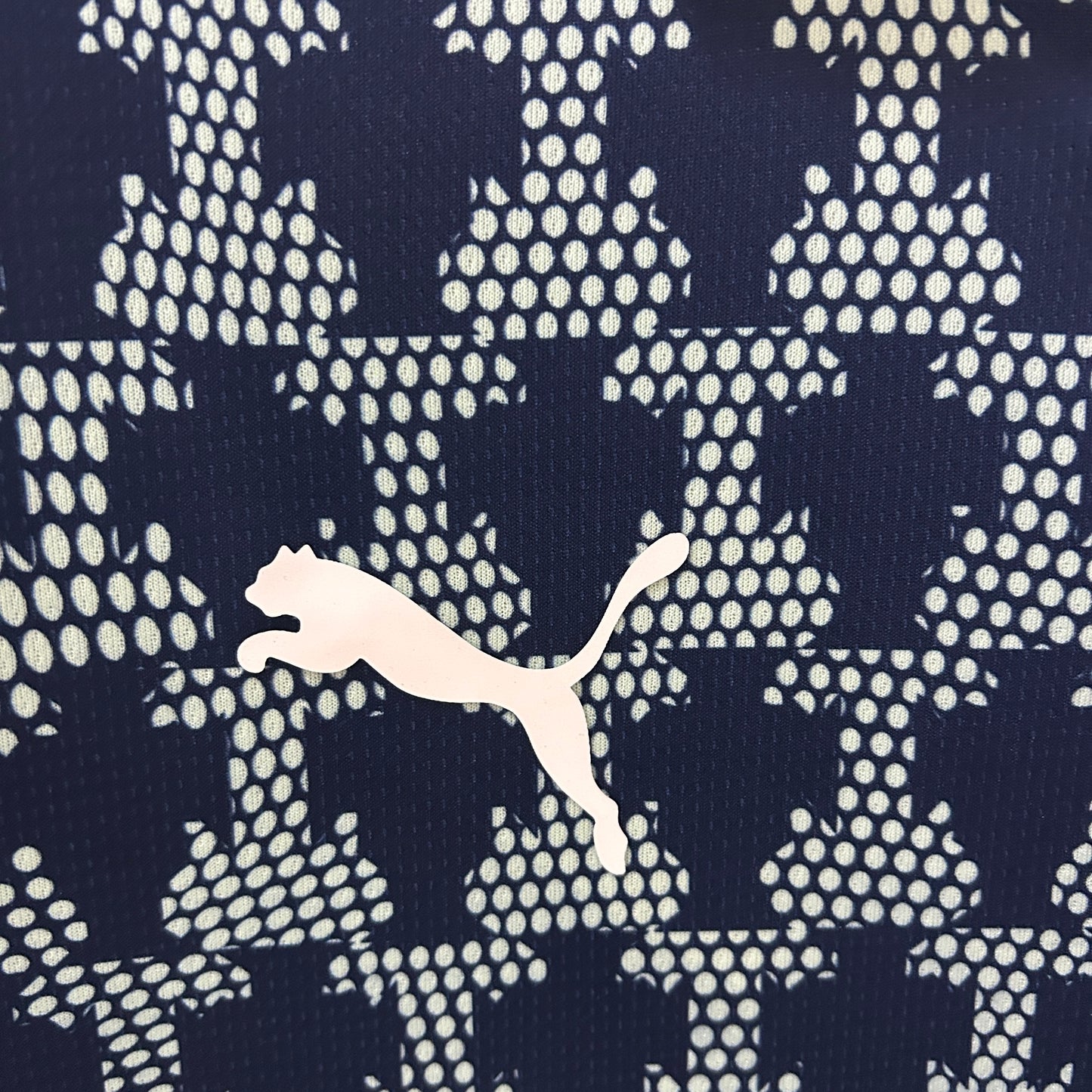 Camiseta Portugal Entrenamiento Azul 2025 Versión Fan