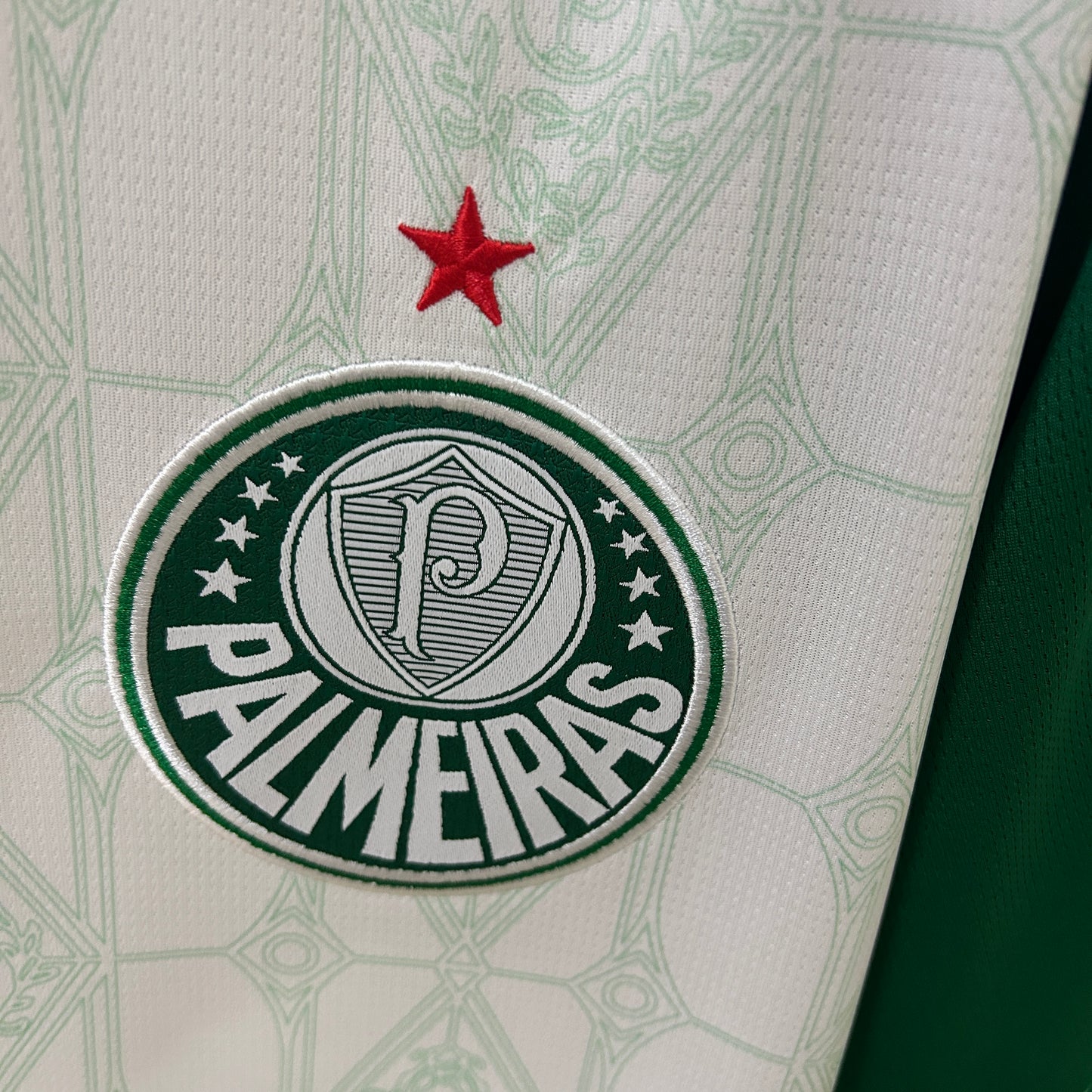 Camiseta Palmeiras Visita 2025/26 Versión Fan