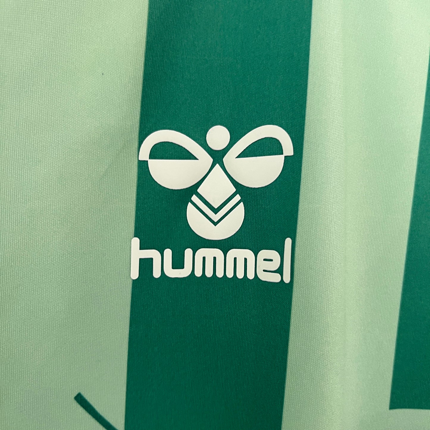 Camiseta Real Betis Edición Especial "Hoja" 2024/25 Versión Fan