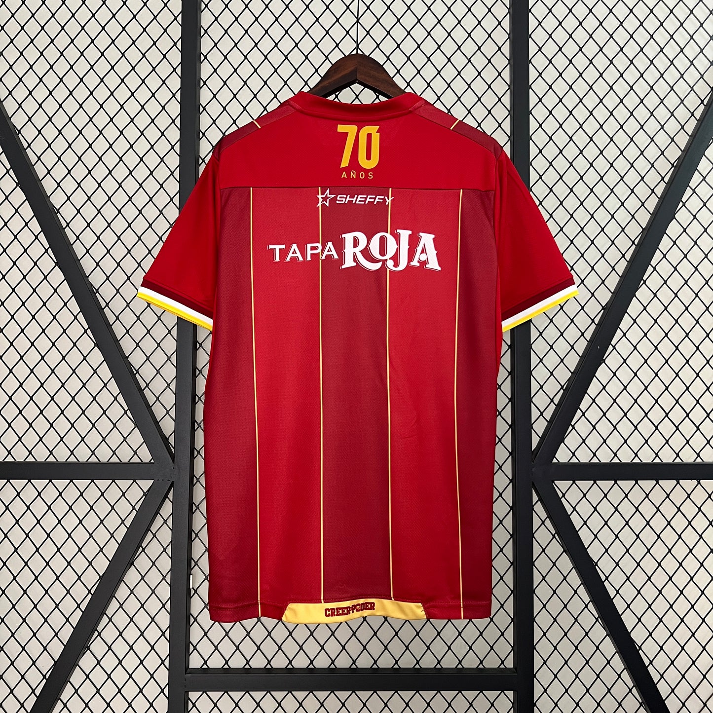 Camiseta CD Tolima Local 2024 Versión Fan