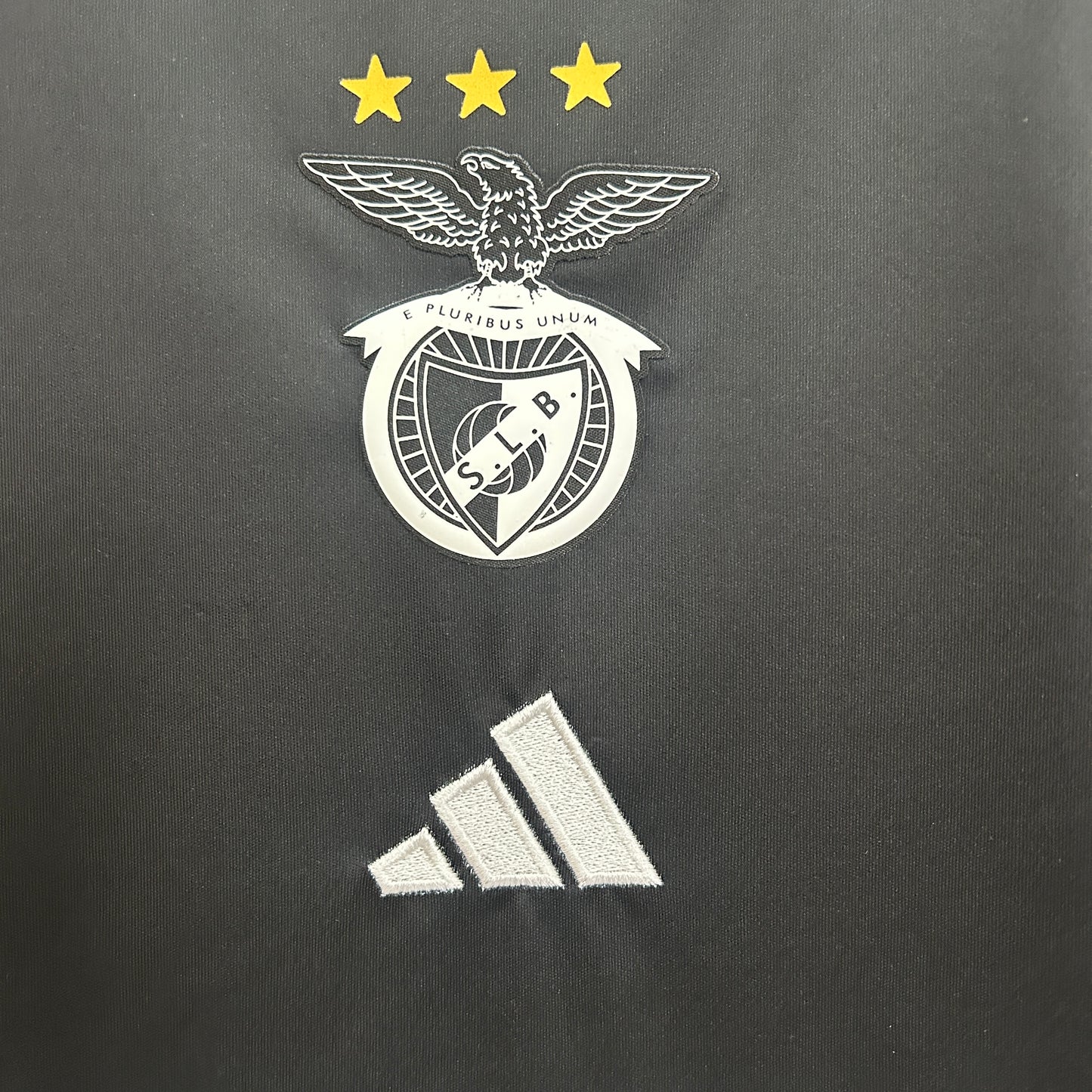 Camiseta Benfica Edición Especial 2025/26 Versión Fan