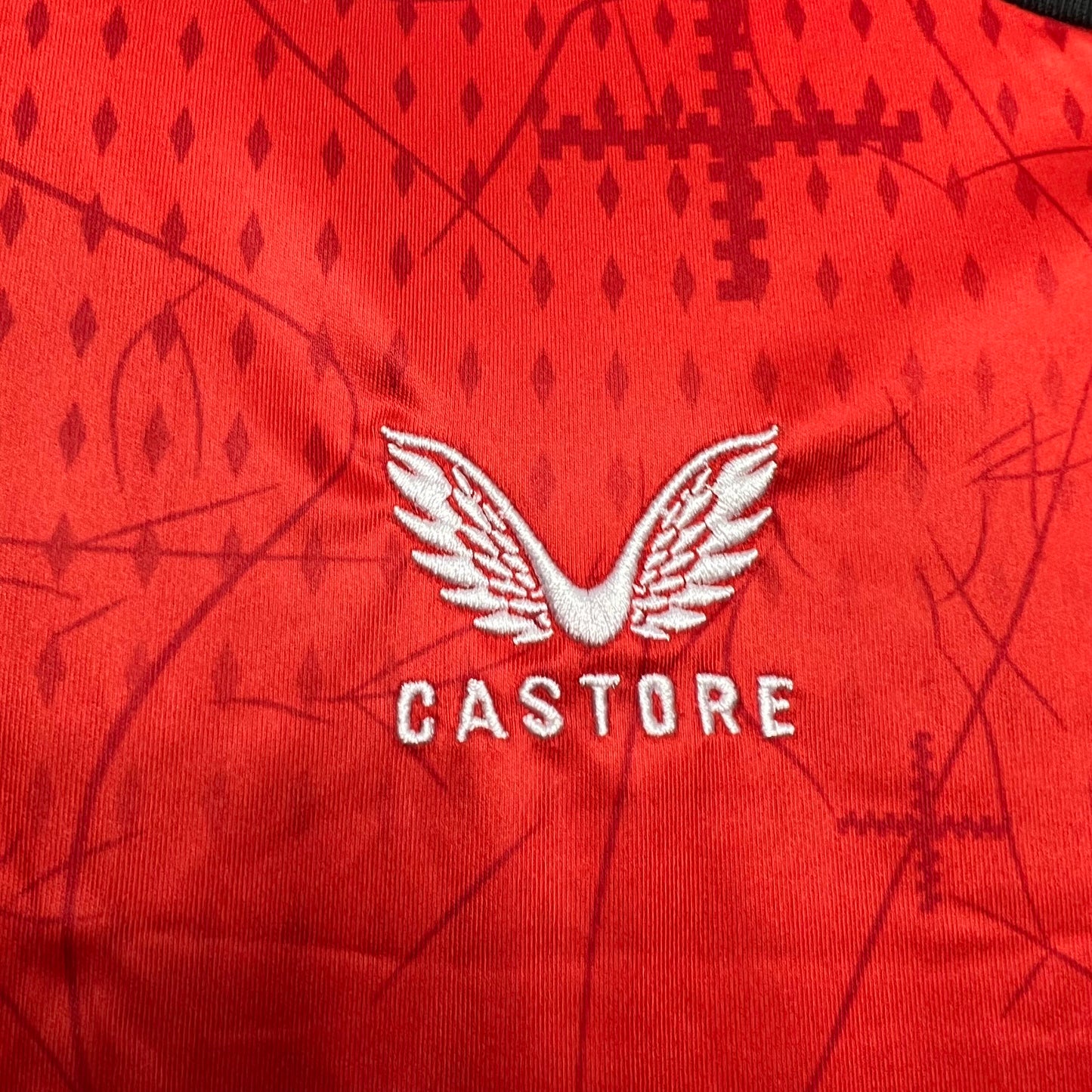 Camiseta Bayer 04 Leverkusen Local 2024/25 Versión Fan