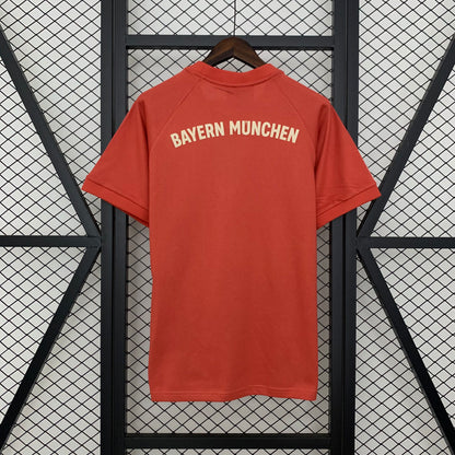 Camiseta Bayern Munich Edición Especial 2024/25 Versión Fan