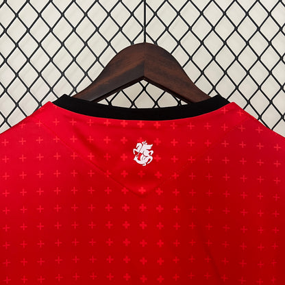 Camiseta Georgia Tercera 2024 Versión Fan