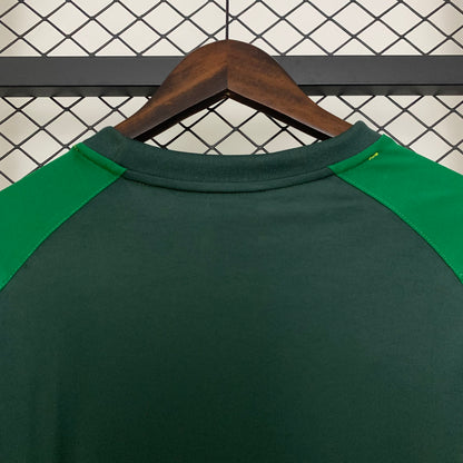 Camiseta Celtic Edición Especial Verde 2025/26 Versión Fan