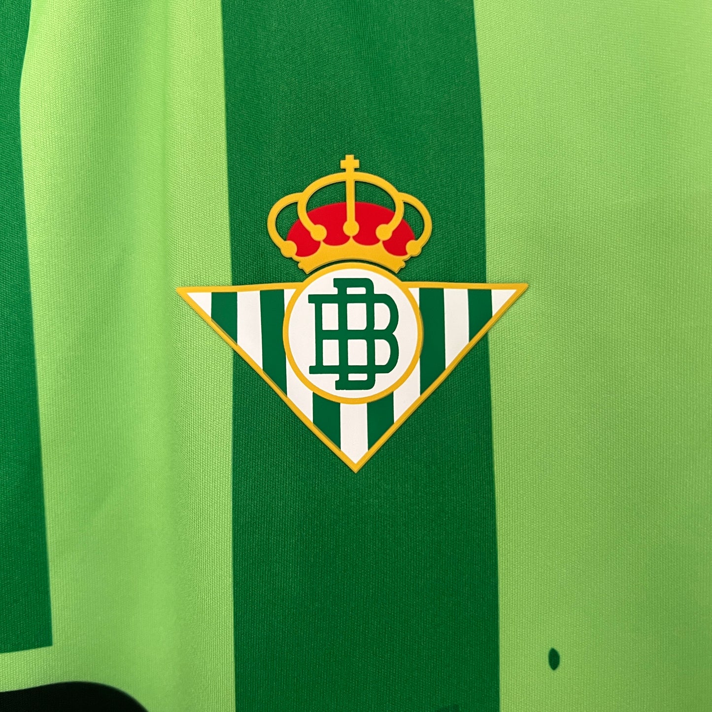Camiseta Real Betis Edición Especial "Hoja" 2024/25 Versión Fan