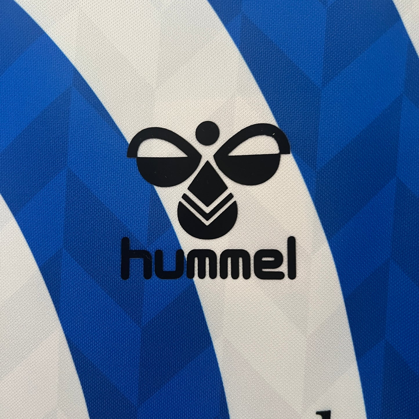 Camiseta Málaga "Edición Especial" 2024/25 Versión Fan