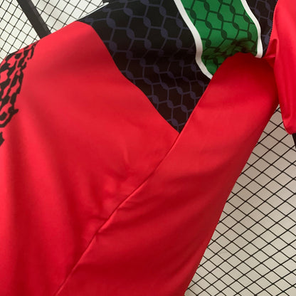 Camiseta Palestino 2025/26 Versión Fan