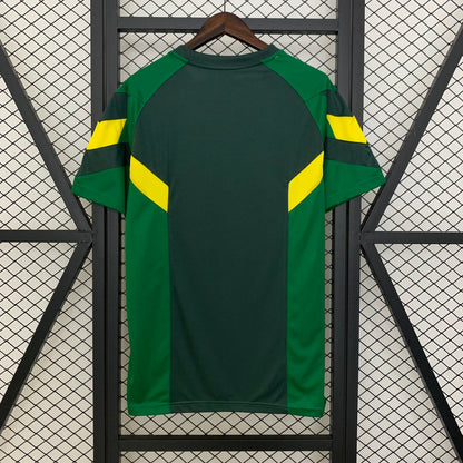 Camiseta Celtic Edición Especial Verde 2025/26 Versión Fan