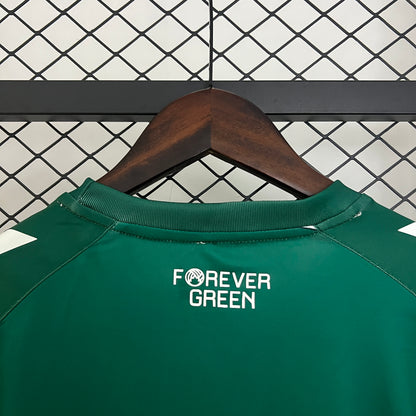 Camiseta Real Betis Edición Especial Verde 2025/26 Versión Fan