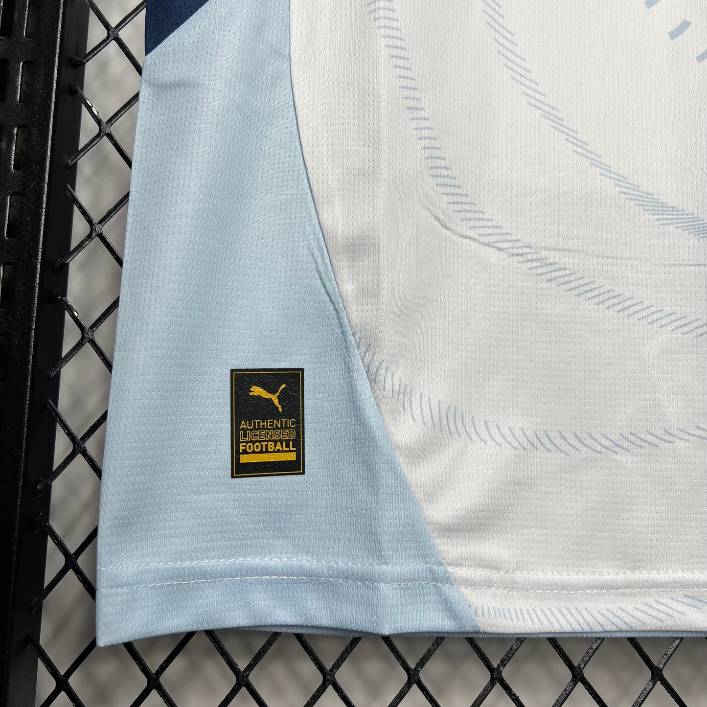 Camiseta Suiza Visita 2024 Versión Fan