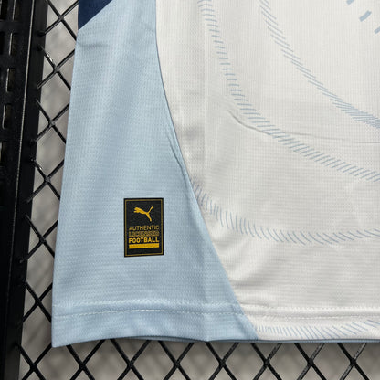 Camiseta Suiza Visita 2024 Versión Fan