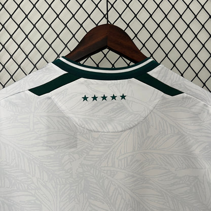 Camiseta Santiago Wanderers Visita 2024 Versión Fan