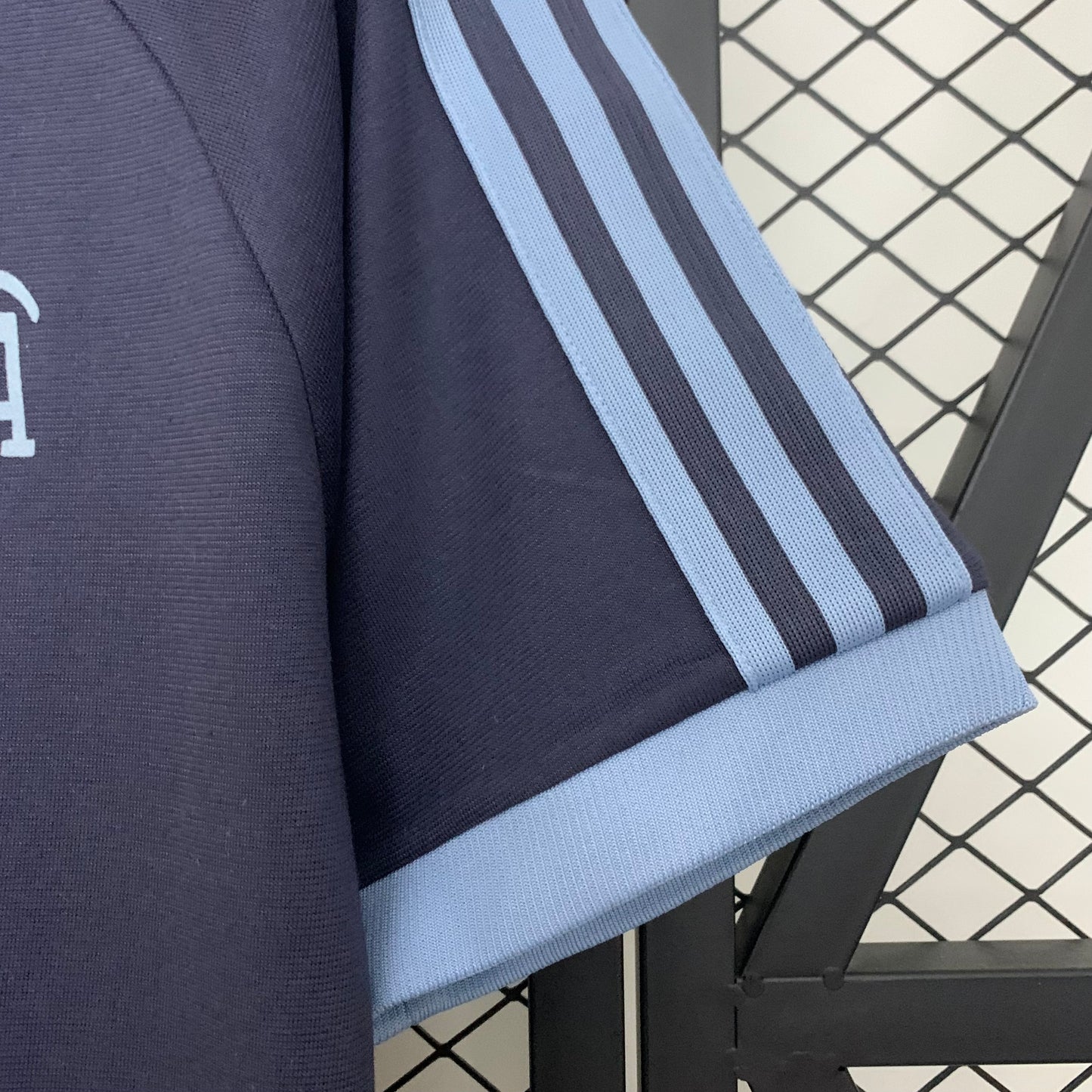 Camiseta Argentina Edición Especial 2024/25 Versión Fan