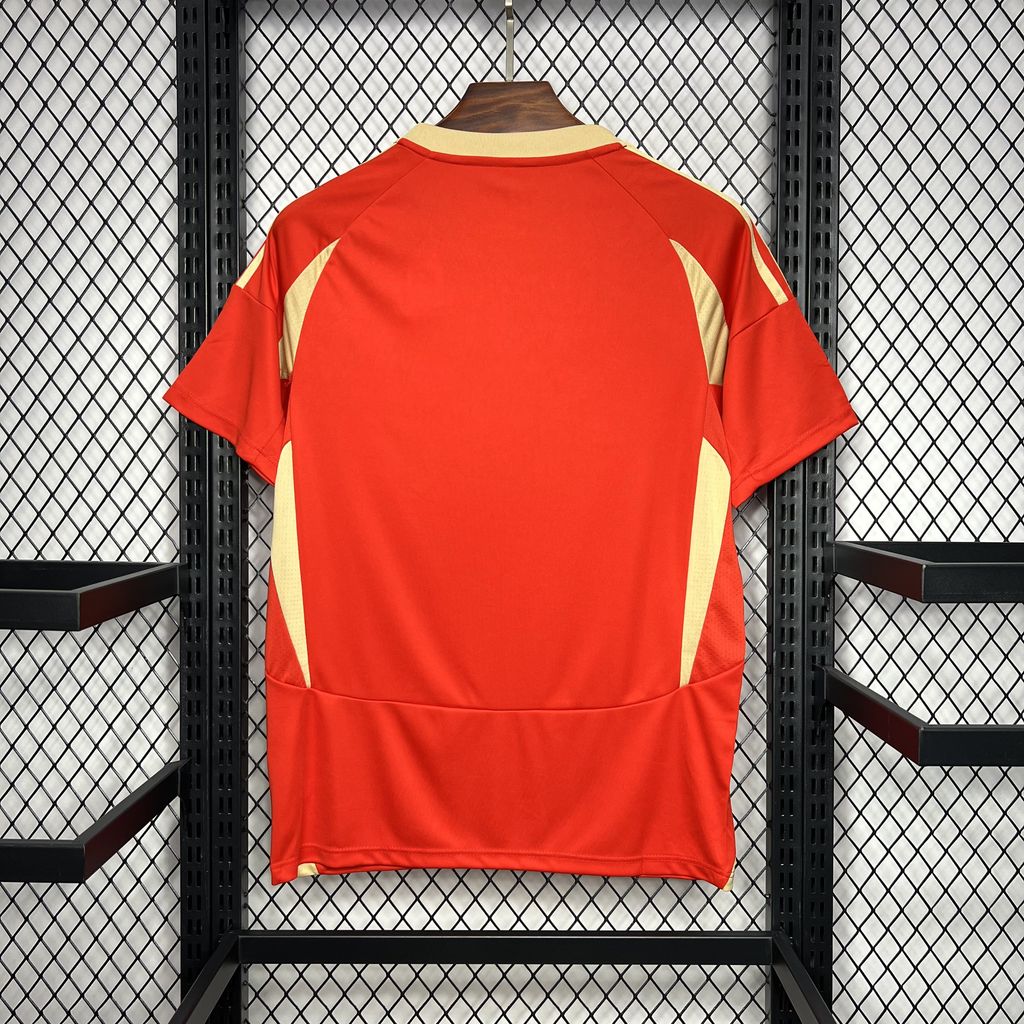 Camiseta Stardard Liege Local 2024/25 Versión Fan