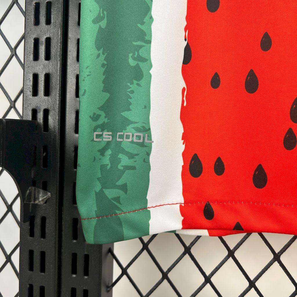 Camiseta Palestino Cuarta 2025/26 Versión Fan