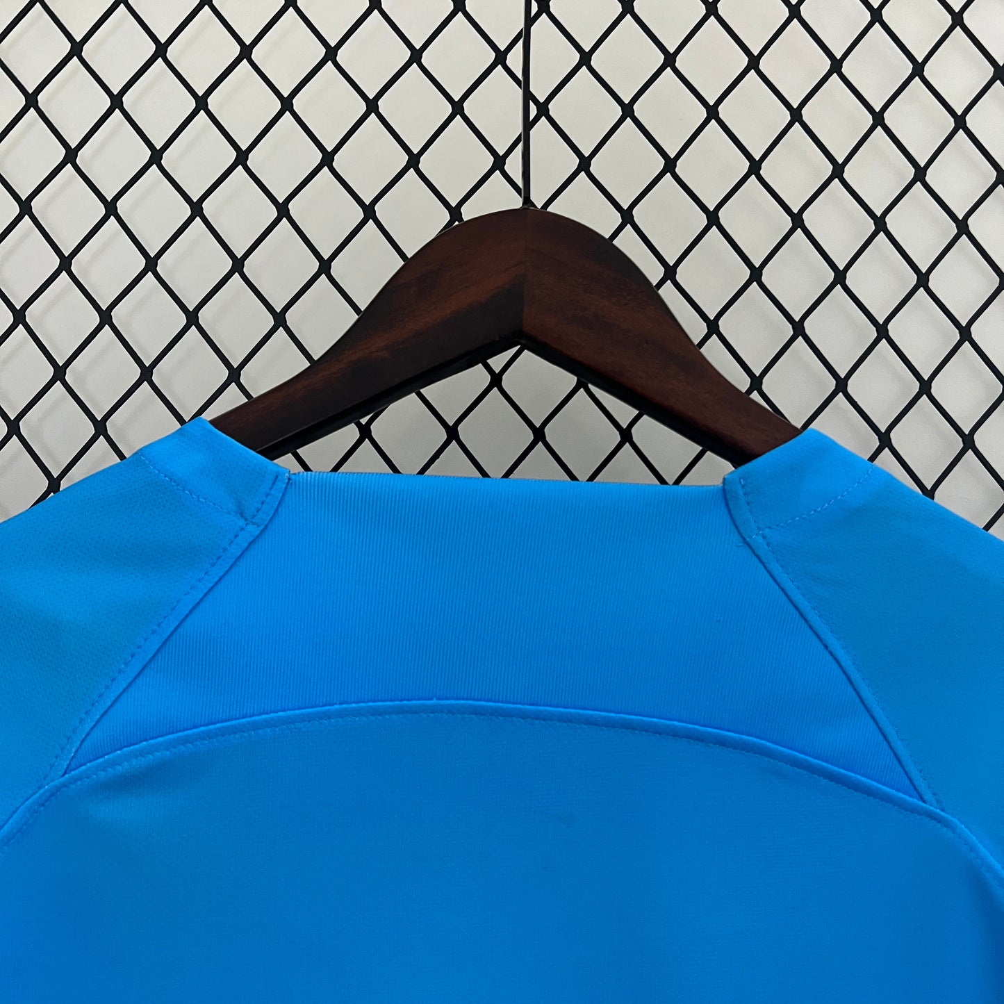 Camiseta Países Bajos Edición Especial León 2024 Versión Fan