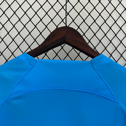 Camiseta Países Bajos Edición Especial León 2024 Versión Fan