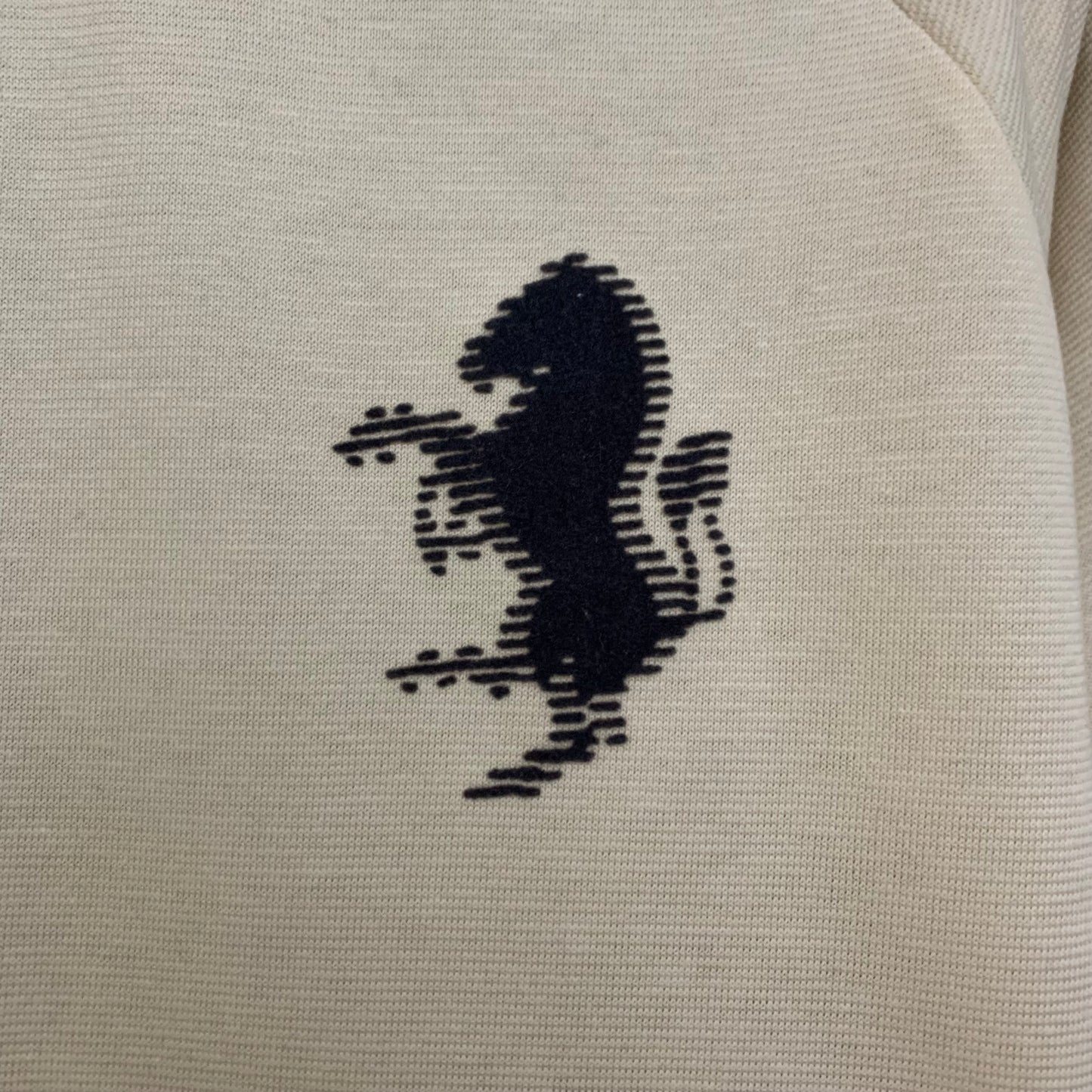 Camiseta Juventus Edición Especial 2024/25 Versión Fan