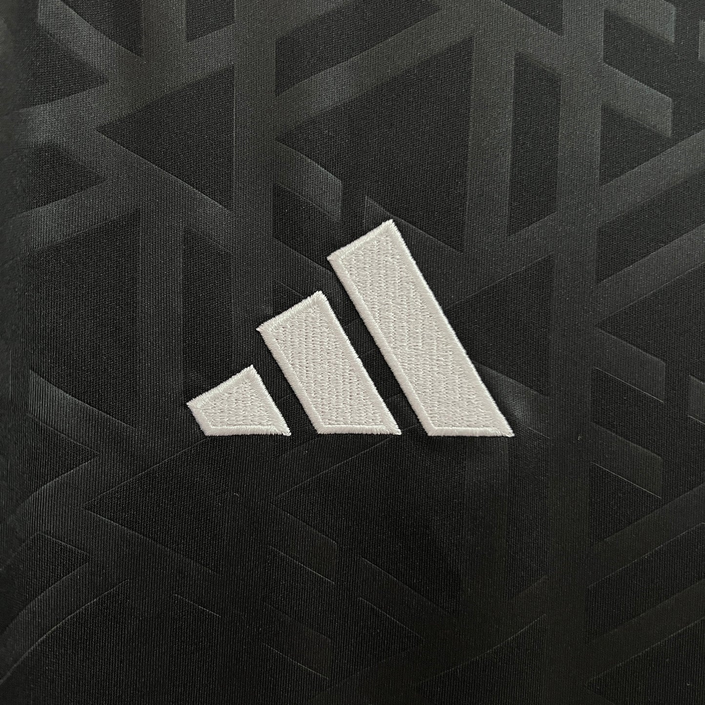 Camiseta Alemania Portero Negra 2024 Versión Fan