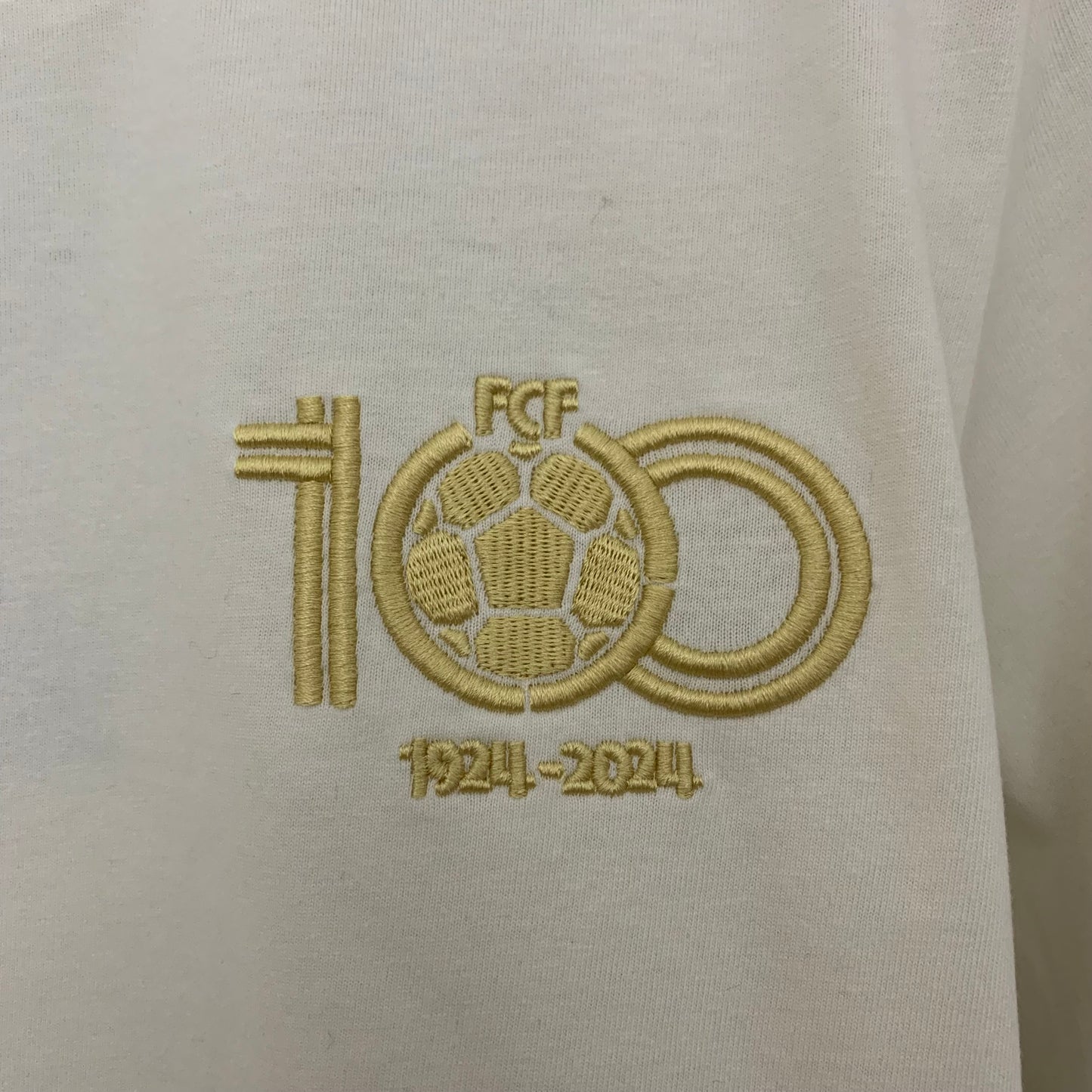 Camiseta Colombia Edición Especial 100 Aniversario 2024/25 Versión Fan
