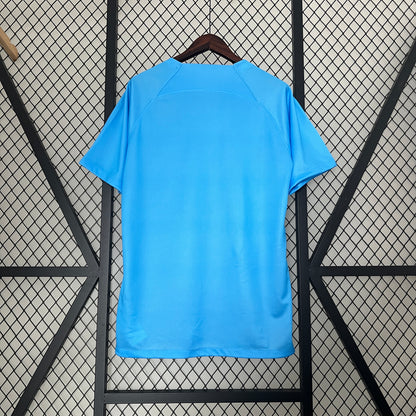 Camiseta Países Bajos Edición Especial León 2024 Versión Fan