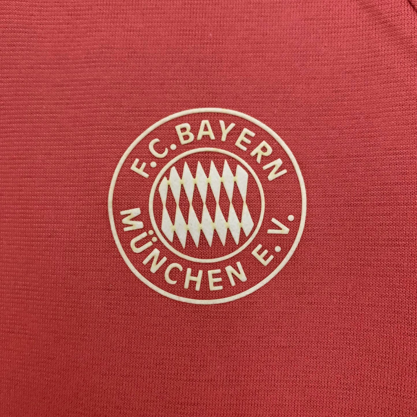 Camiseta Bayern Munich Edición Especial 2024/25 Versión Fan