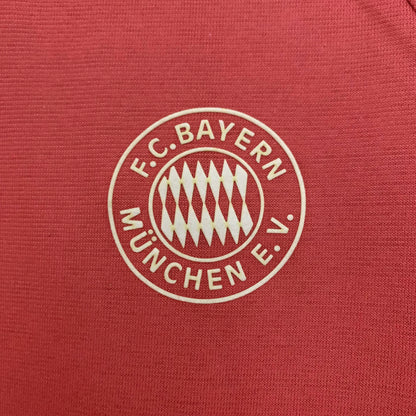 Camiseta Bayern Munich Edición Especial 2024/25 Versión Fan