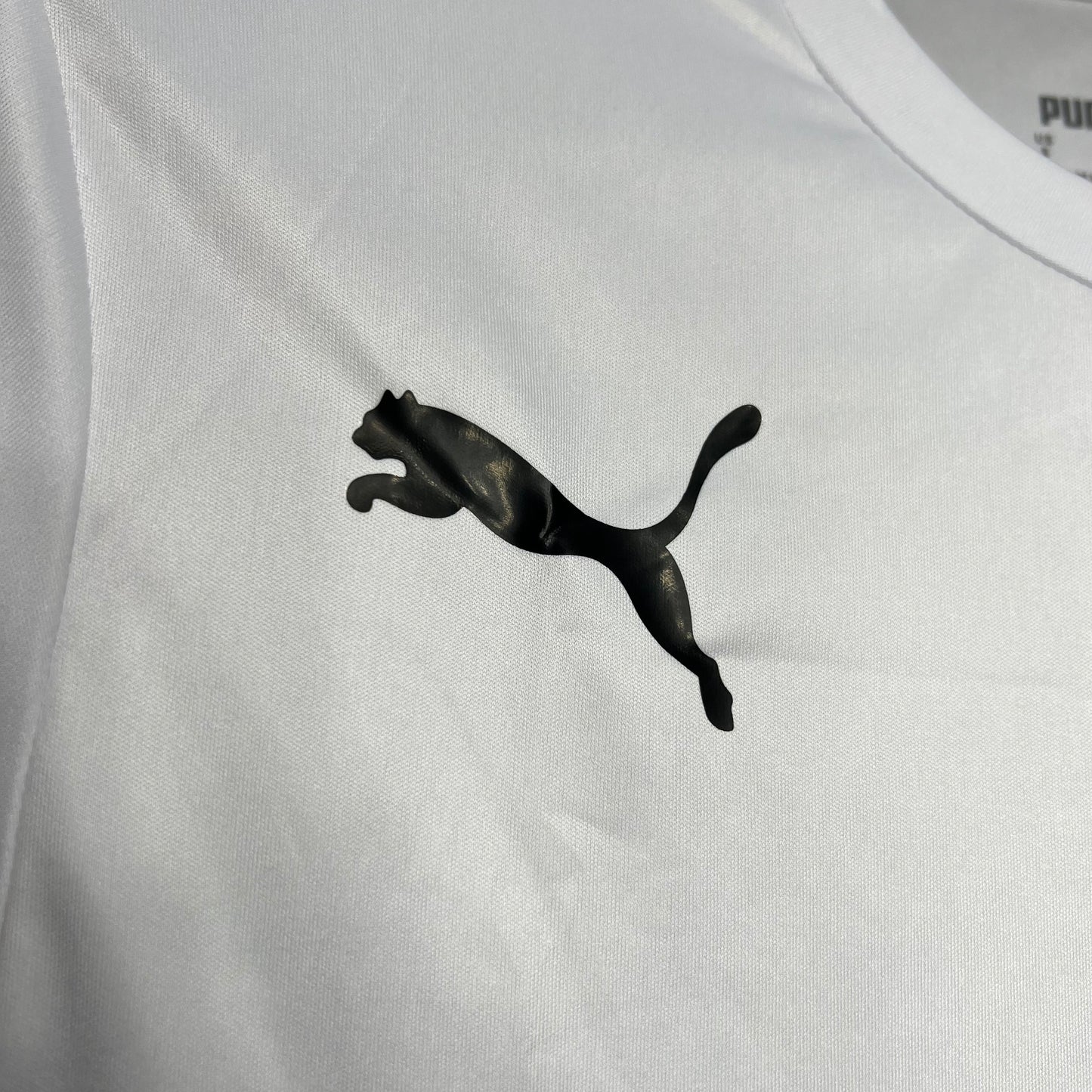 Camiseta Alemania "Edición Check24-Puma" 2024 Versión Fan