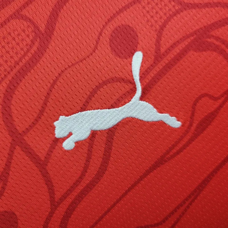 Camiseta Austria Local 2024 Versión Fan