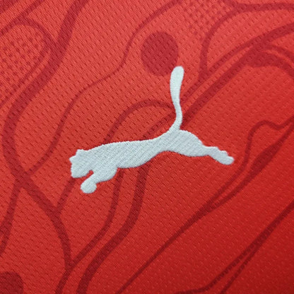 Camiseta Austria Local 2024 Versión Fan