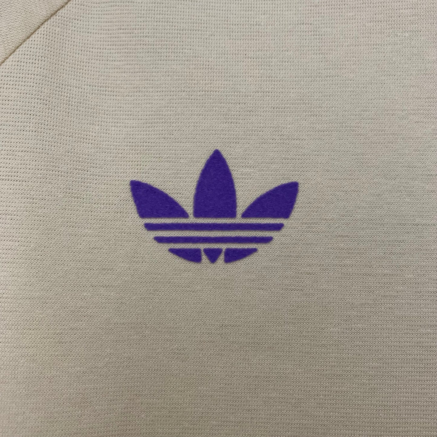 Camiseta Real Madrid Edición Especial Blanca 2024/25 Versión Fan