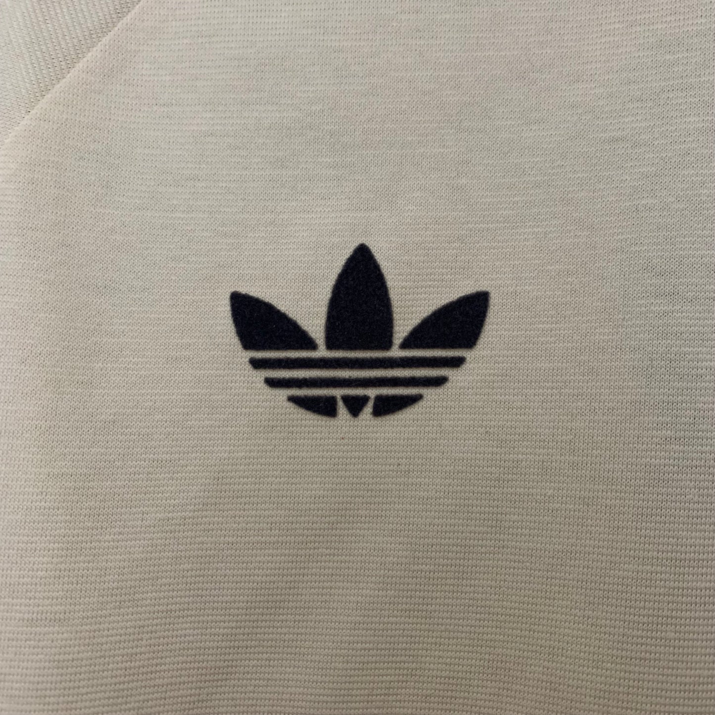 Camiseta Juventus Edición Especial 2024/25 Versión Fan