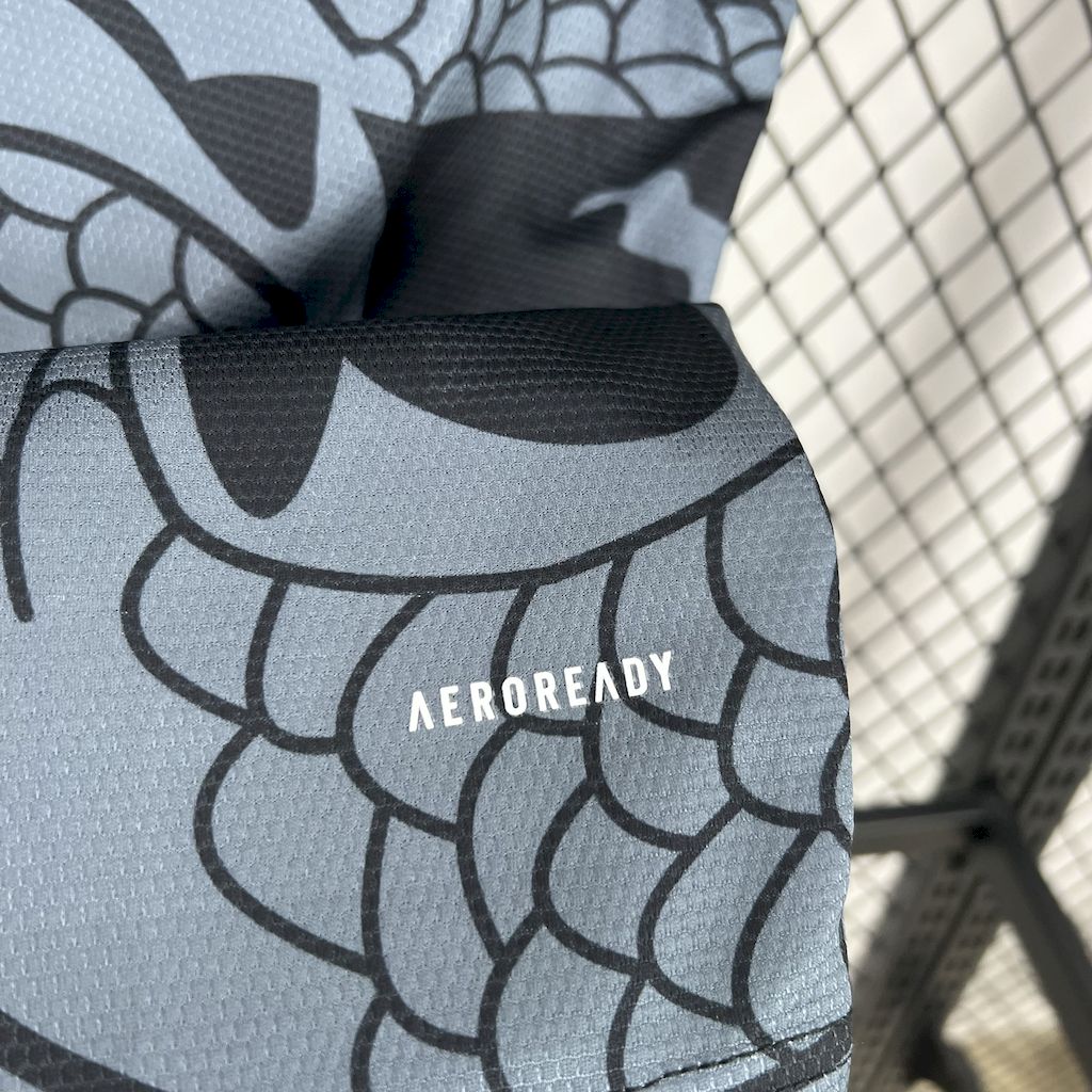 Camiseta Aston Villa Dragon 2025/26 Versión Fan