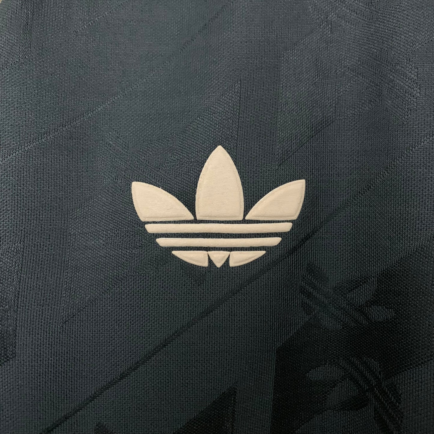 Camiseta Real Madrid Edición Especial Negra 2024/25 Versión Fan