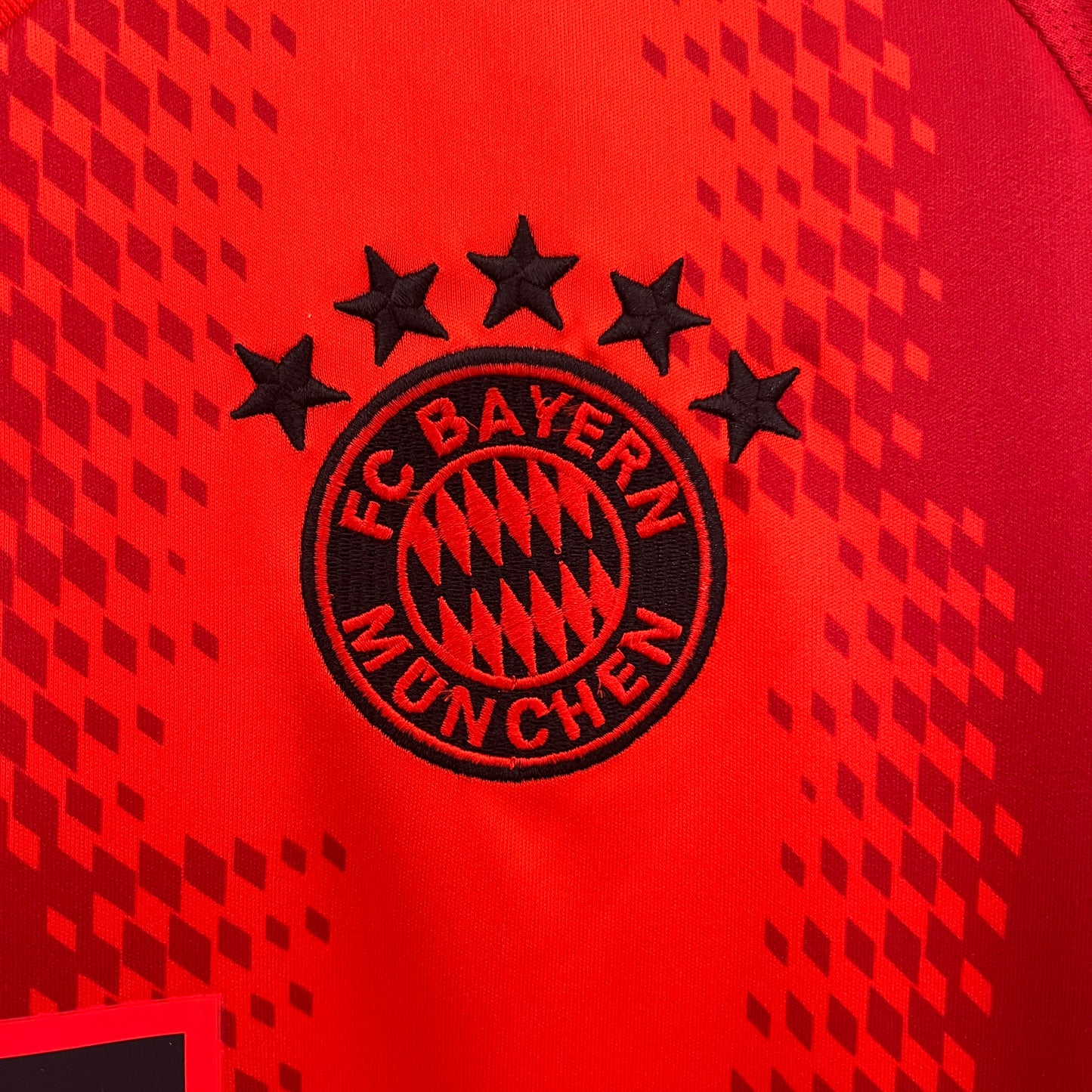 Camiseta Bayern Munich Local 2024/25 Versión Fan