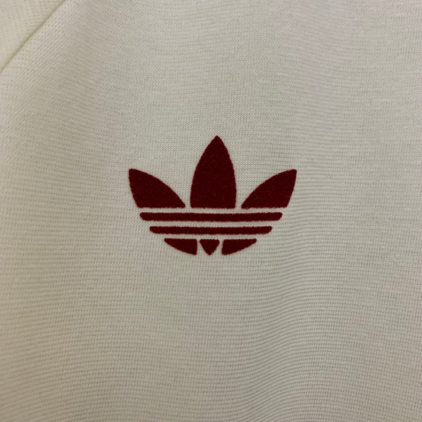 Camiseta Manchester United Edición Especial 2024/25 Versión Fan