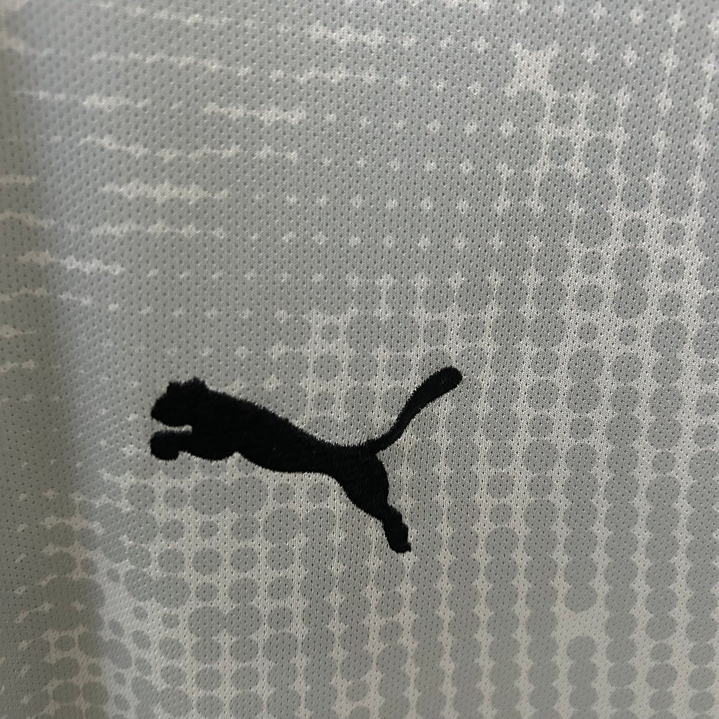 Camiseta Portugal Portero Gris 2025/26 Versión Fan