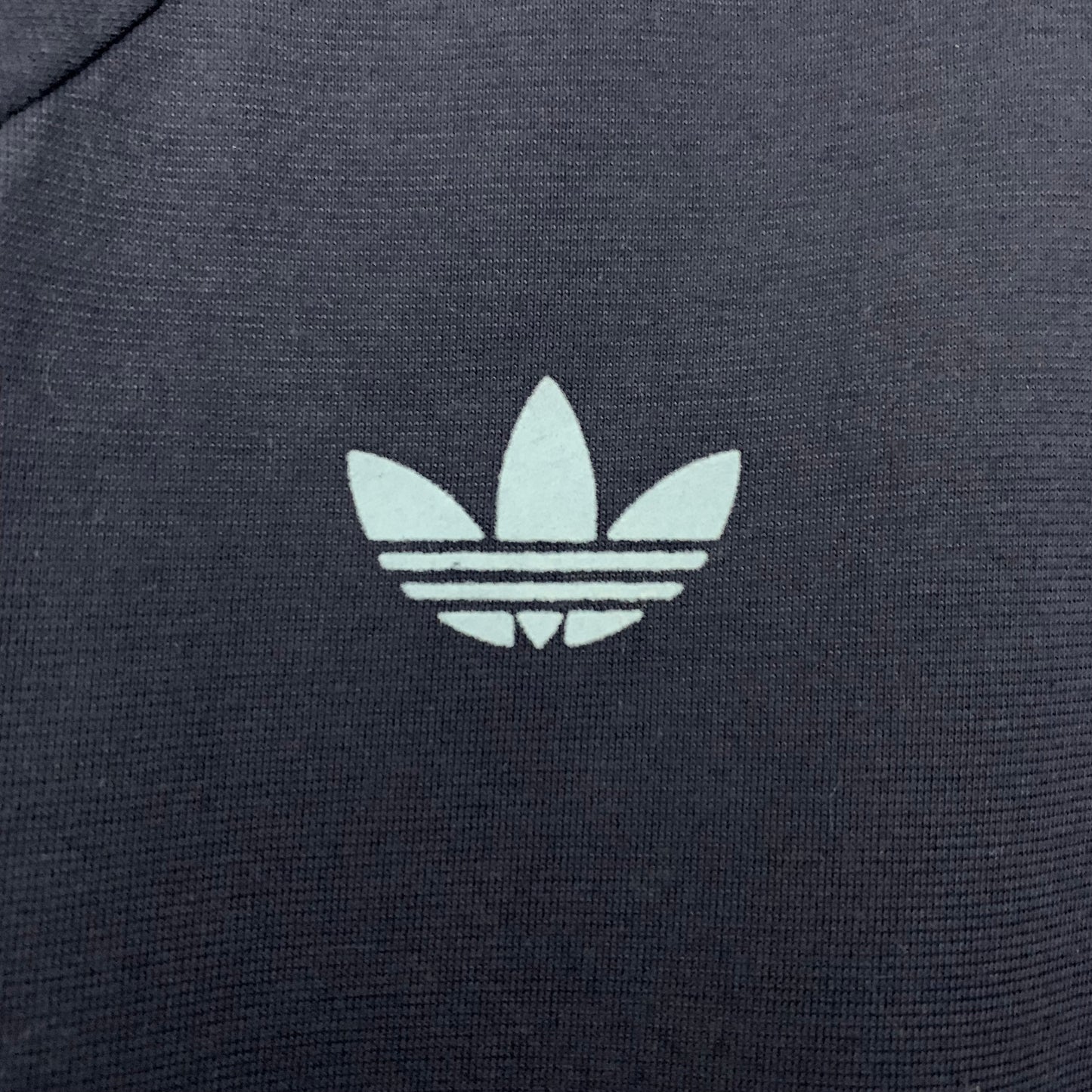 Camiseta Argentina Edición Especial 2024/25 Versión Fan