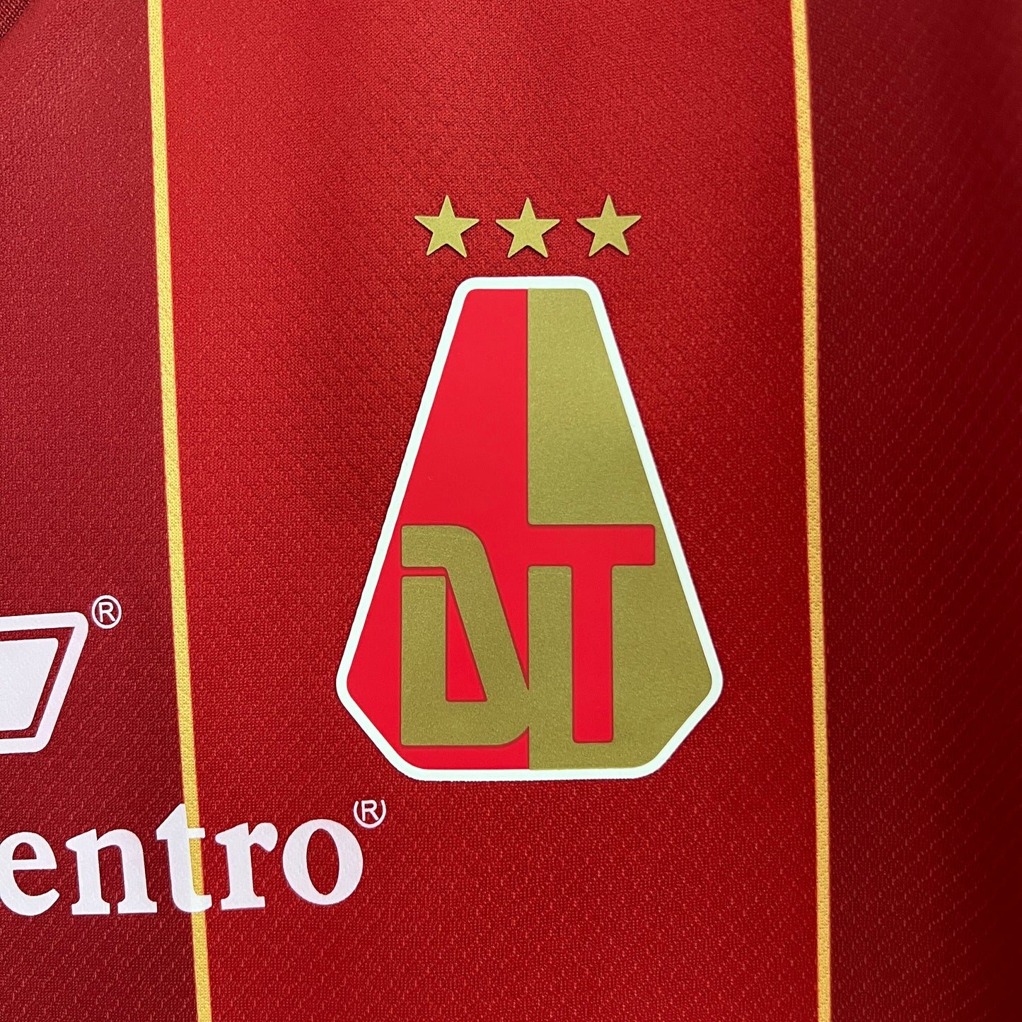 Camiseta CD Tolima Local 2024 Versión Fan